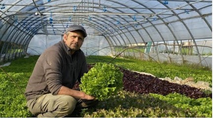 Exploitation BUTIN - Producteur De Légumes, Primeur Fruits et Légumes à Saint-Symphorien-d'Ozon