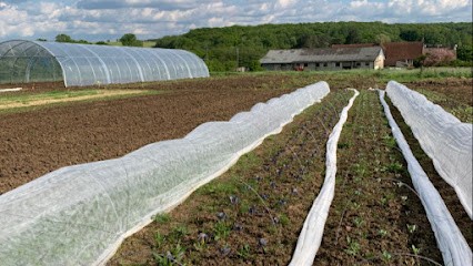 La Ferme Des Petits Champs, Primeur Fruits et Légumes à Pont-et-Massène