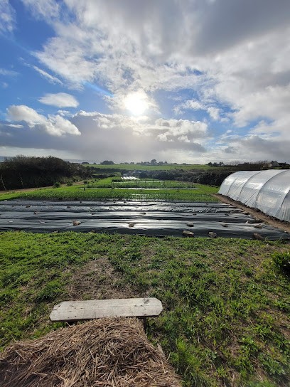 La Ferme De Tommy, Primeur Fruits et Légumes à Plozévet