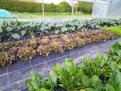 Le Jardin Du Bocage, Primeur Fruits et Légumes à Levaré