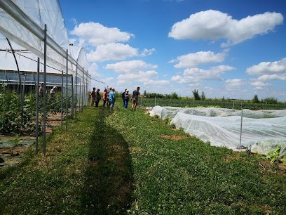 La bêche à Mel, Primeur Fruits et Légumes à Sougy