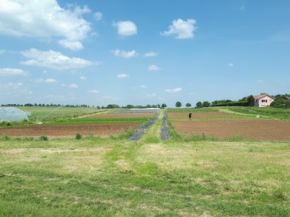 Les Jardins De La Mante Verte, Primeur Fruits et Légumes à Villers-lès-Nancy