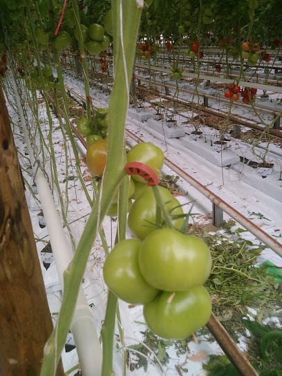 La Richardière Earl, Primeur Fruits et Légumes à Servon-sur-Vilaine