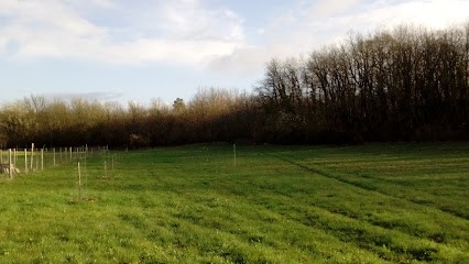 Le Jardin Neuf, Primeur Fruits et Légumes à Lavoux