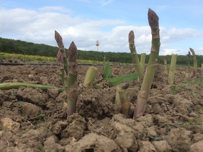 Earl du Planant, Primeur Fruits et Légumes à Roinville
