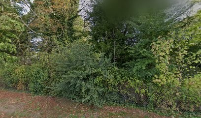 Hupin François-Xavier, Primeur Fruits et Légumes à Démouville