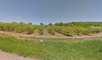 Les Vergers Du Vallon, Primeur Fruits et Légumes à Pruines