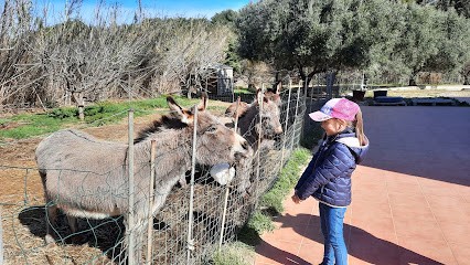 Priolio Robert, Primeur Fruits et Légumes à Six-Fours-les-Plages