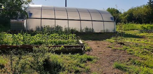 La Ferme Davitali, Primeur Fruits et Légumes à Saint-Désiré