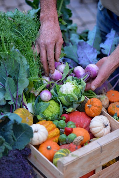 Ferme Roudol Chez Christian Charransol, Primeur Fruits et Légumes à Valréas