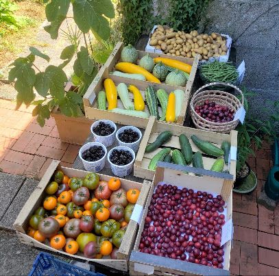 Le Jardin Sauvage Primeur - Fruits Et Légumes à Chaumes-en-Retz