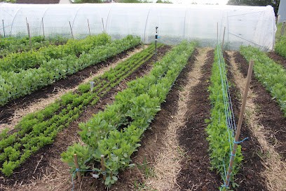 Micro ferme du Bourbonnais, Primeur Fruits et Légumes à Dompierre-sur-Besbre