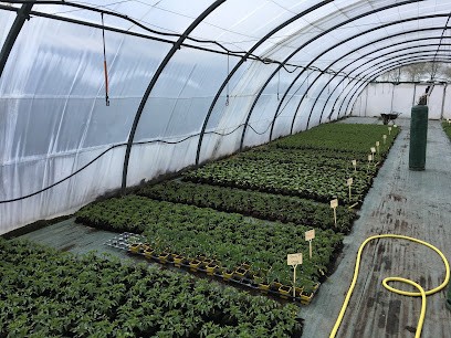 SARL Du Petit Colombier, Primeur Fruits et Légumes à Saint-Denis-en-Val