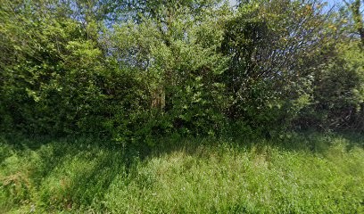 Sorbie Serge, Primeur Fruits et Légumes à La Réole