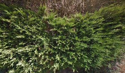 Gaec Picard Frères, Primeur Fruits et Légumes à Penvénan