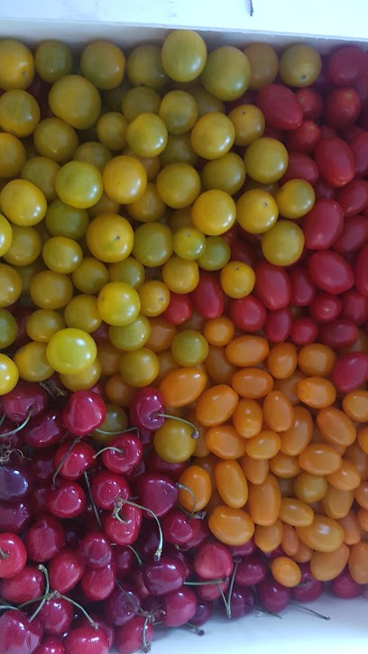 Au potager de Kervoigen, Primeur Fruits et Légumes à Lannion