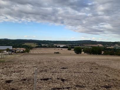 Le Panier De Séverine, Primeur Fruits et Légumes à Roumengoux