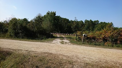 Lafable Petit Bio, Primeur Fruits et Légumes à Saint-Michel-de-Rieufret