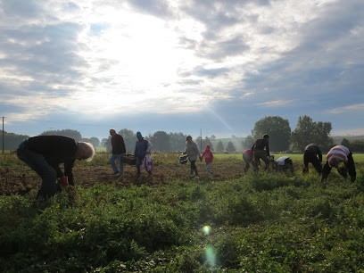 Les Jardins de la Butte, Primeur Fruits et Légumes à Bueil-en-Touraine