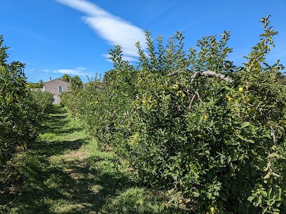Ferme Sainte Brigitte, Primeur Fruits et Légumes à Vidauban