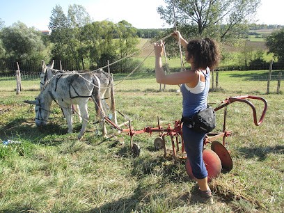Le champ du ver luisant, Primeur Fruits et Légumes à Haut-Clocher