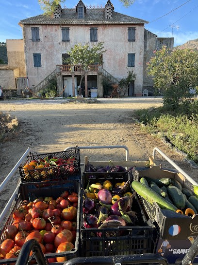 Clos Calvese, Primeur Fruits et Légumes à Calvi