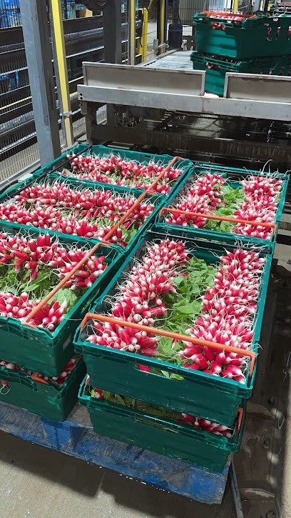 Le Delice Des Sables, Primeur Fruits et Légumes à Saint-Georges-de-Reneins