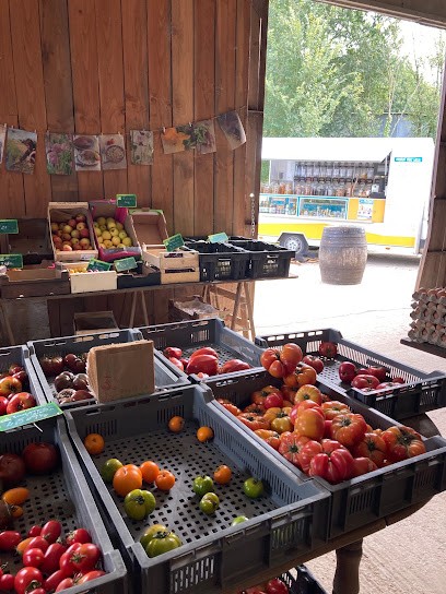 Marché à La Ferme - Rescan Antoine, Primeur Fruits et Légumes à Malansac