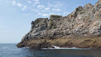 SCEA COATANEA - Tomate de Plougonvelin 🍅, Primeur Fruits et Légumes à Plougonvelin