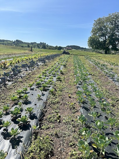 Famille Malnory, Primeur Fruits et Légumes à Gugney-aux-Aulx