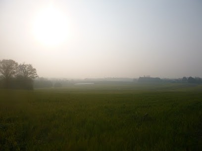 Maraichage De La Belouyère, Primeur Fruits et Légumes à Retiers