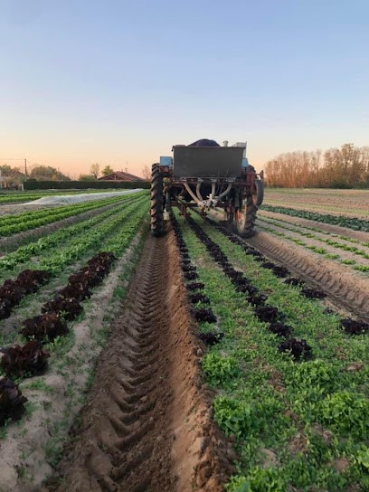 LA FERME DES SABLES, Primeur Fruits et Légumes à Bâgé-Dommartin
