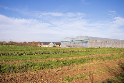 Fan De Carottes, Primeur Fruits et Légumes à Souvigné-sur-Sarthe