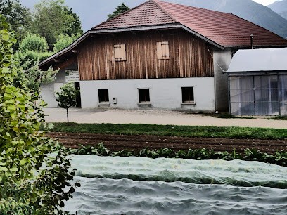 GAEC Le Bouquet Savoyard, Primeur Fruits et Légumes à Sevrier