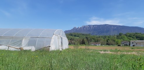 Le Champ Du Coq, Primeur Fruits et Légumes à Yenne