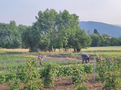 Ferme du Pra Barrin, Primeur Fruits et Légumes à Saint-André-les-Alpes