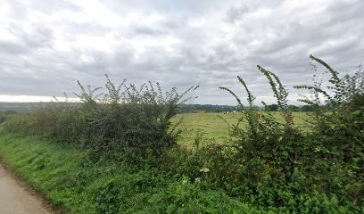 Le Maraicher Bio - Légumes Bio à Saint -Lô, Primeur Fruits et Légumes à Saint-Lô