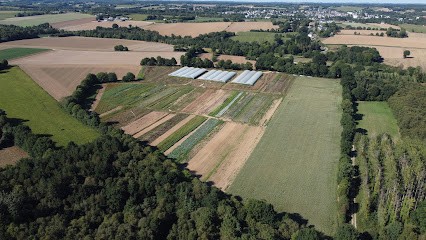 La ferme du B, Primeur Fruits et Légumes à Merdrignac