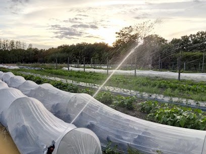 Lejardindesgodin's, Primeur Fruits et Légumes à Vouzeron