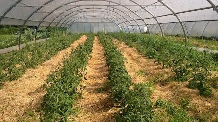 Au Bi'O Jardin, Primeur Fruits et Légumes à Saint-Christophe-en-Boucherie
