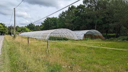LACOU, Primeur Fruits et Légumes à Saint-Jean-d'Illac