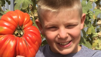 Cueillette Varet, Bio, Primeur Fruits et Légumes à Louville-la-Chenard