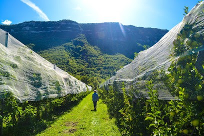 Laurence & Marc LONG - Le goût des Hautes-Alpes, Primeur Fruits et Légumes à Laragne-Montéglin