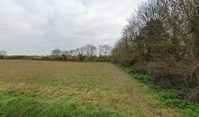 Les Tomates D'ici, Primeur Fruits et Légumes à Puilboreau