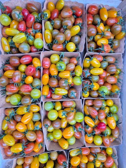 Sebi'o Primeur - Fruits Et Légumes à Camlez