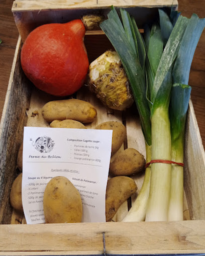 Ferme Du Brûlon - Légumes Et Champignons Bio Primeur - Fruits Et Légumes à Chemillé-en-Anjou