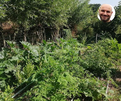 Cueillette Légumes Et Fruits Des Jardins De Baugnac, Primeur Fruits et Légumes à Lavalette