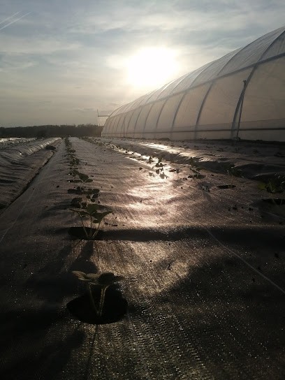 Le jardin des Sablons, Primeur Fruits et Légumes à Nesploy
