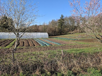 La Ferme de Massigoux, Primeur Fruits et Légumes à Saint-Sulpice-les-Champs