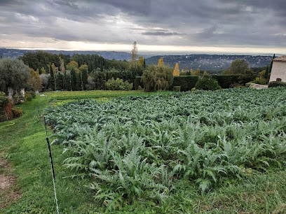 Le Marché Bio De St Jeannet, Primeur Fruits et Légumes à Saint-Jeannet